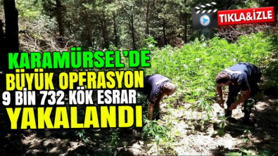 Jandarma Karamürsel'de uyuşturucuya geçit vermiyor!