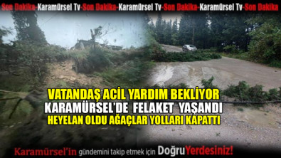 Karamürsel'de ağaçlar devrildi yollar kapandı