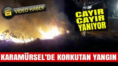 Karamürsel'de büyük yangın!