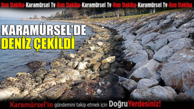 Karamürsel'de deniz çekildi: 'Bu defa çekilen su geri gelmedi'
