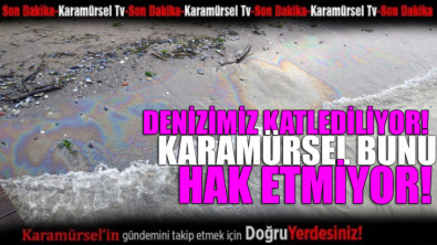 Karamürsel'de deniz katlediliyor!