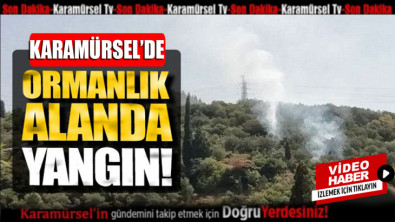 Karamürsel'de korkutan orman yangını