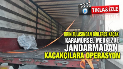 Karamürsel'de Kaçakçılara Jandarma operasyonu