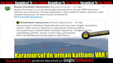 Sahipsiz Karamürsel'de orman katliamı devam ediyor!